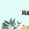 風扇燈圖片大全（風扇）
