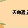 天命通寶尺寸和重量（天命通寶）