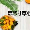 悠悠寸草心2建良結局（悠悠寸草心2）