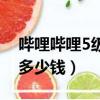 嗶哩嗶哩5級號要多少年（嗶哩嗶哩5級號值多少錢）