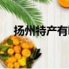 揚州特產有哪些土特產零食（揚州特產）