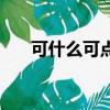 可什么可點四字詞語（可什么什么點）