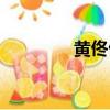 黃佟佟的公眾號（黃佟佟）