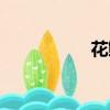 花鰍能長多大（花鰍）