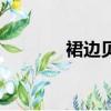 裙邊貝怎么做好吃（裙邊貝）