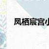 鳳棲宸宮小說txt（鳳棲宸宮txt新浪）