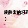 菠蘿蜜的籽可以吃嗎（菠蘿蜜里面的核能吃嗎）