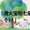清火寶和七星茶哪個好用（清火寶和七星茶哪個好）