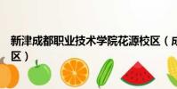 新津成都職業技術學院花源校區(成都職業技術學院花源校區)