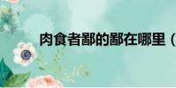 肉食者鄙的鄙在哪里(肉食者鄙)