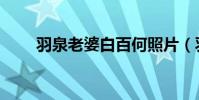 羽泉老婆白百何照片(羽泉的老婆)