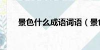 景色什么成語詞語(景色什么成語)