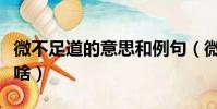 微不足道的意思和例句(微不足道道的意思是啥)