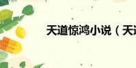 天道驚鴻小說(天道驚鴻)