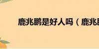 鹿兆鵬是好人嗎(鹿兆鵬怎么死的)