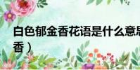 白色郁金香花語是什么意思 寓意(白色郁金香)