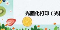 光固化打印(光固化)