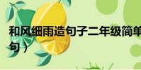 和風細雨造句子二年級簡單一點(和風細雨造句)