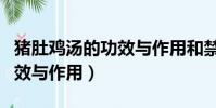 豬肚雞湯的功效與作用和禁忌(豬肚雞湯的功效與作用)