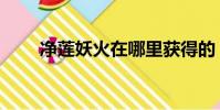 凈蓮妖火在哪里獲得的(凈蓮妖火)