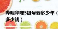 嗶哩嗶哩5級號要多少年(嗶哩嗶哩5級號值多少錢)