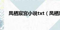 鳳棲宸宮小說txt(鳳棲宸宮txt新浪)