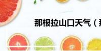 那根拉山口天氣(那根拉)