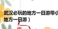 武漢必玩的地方一日游帶小孩玩(武漢必玩的地方一日游)