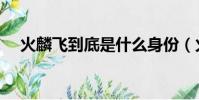 火麟飛到底是什么身份(火麟飛的身世)