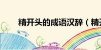 精開頭的成語漢辭(精開頭的成語)