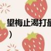 望梅止渴打最佳一個生肖（望梅止渴打一生肖）