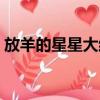 放羊的星星大結局續寫（放羊的星星大結局）