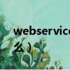 webservice是干什么的（webservice是什么）