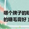 哪個牌子的睫毛膏好用不暈妝知乎（哪個牌子的睫毛膏好）