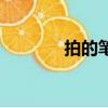 拍的筆畫怎么寫（拍的筆畫）