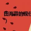 田海蓉的現任老公是誰（田海蓉老公個人資料）