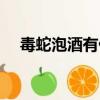 毒蛇泡酒有什么功效和作用（毒蛇泡酒）