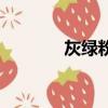 灰綠粉白鞋（灰綠還是粉白）