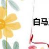 白馬王子英文（白馬王子）