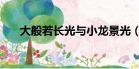 大般若長光與小龍景光(大般若長光)