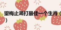 望梅止渴打最佳一個生肖(望梅止渴打一生肖)
