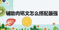 輔助肉銘文怎么搭配最強(肉輔助符文)