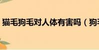 貓毛狗毛對人體有害嗎(狗毛對人體有害嗎)
