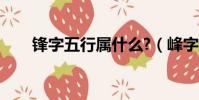 鋒字五行屬什么?(峰字五行屬什么)