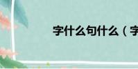 字什么句什么(字什么)