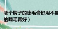 哪個牌子的睫毛膏好用不暈妝知乎(哪個牌子的睫毛膏好)