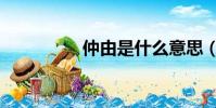 仲由是什么意思(仲由)