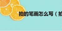 拍的筆畫怎么寫(拍的筆畫)