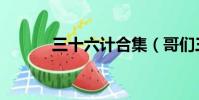 三十六計合集(哥們三十六計)