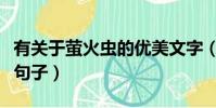 有關于螢火蟲的優美文字(關于螢火蟲的唯美句子)
